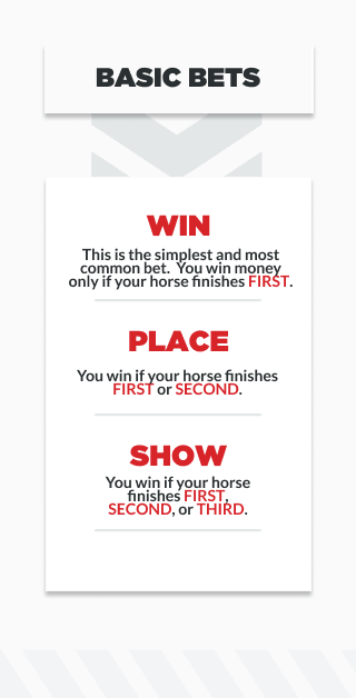 Infographic outlining basic bets in horse racing