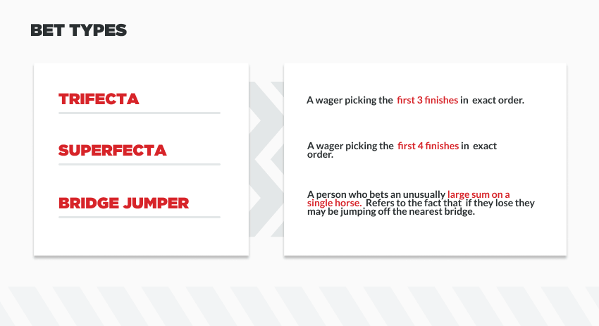 infographic showing different types of wagers in horse race betting