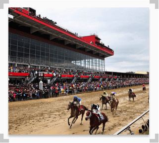 Photo of horses racing during Preakness Stakes