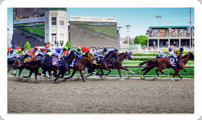 Horses running at the 2014 Kentucky Derby