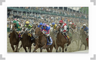 Pack of horses running a race at Kentucky Derby