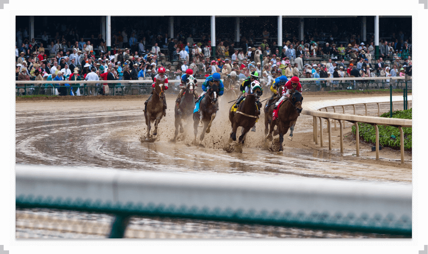 Pack of horses running a race in soggy conditions