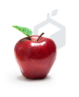 betting 101 icon apple