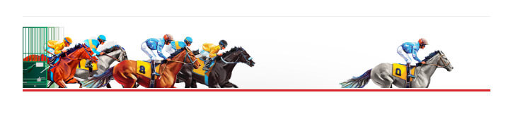 horse race animated illustrated image