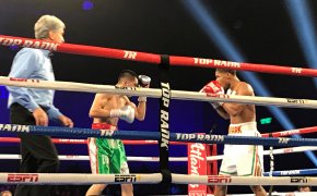 Shakur Stevenson fights opponent in the boxing ring