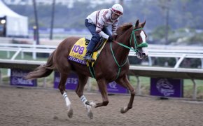 Stilleto Boy, trained by Ed J. Moger, Jr., during workouts at Del Mar Race Track.