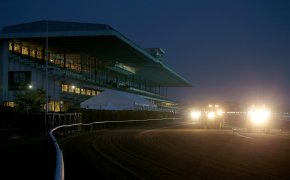 Tractors harrow the track before morning workouts at Belmont Park.