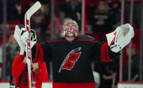 Hurricanes goalie Frederik Anderson celebrating a win